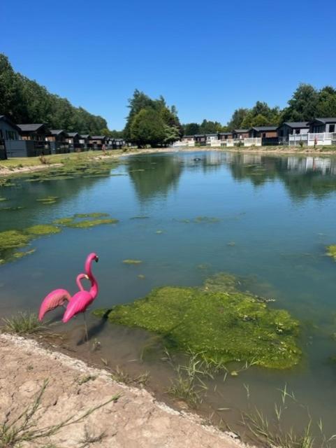 The Flamingo With Hot Tub